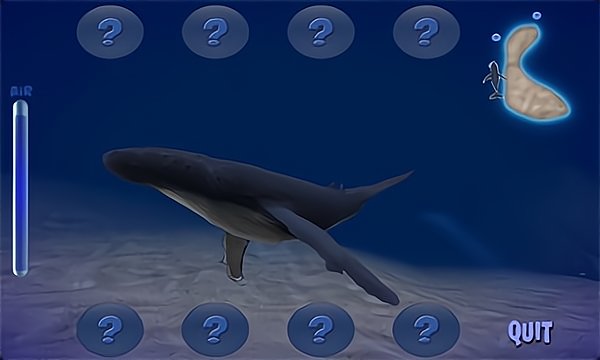 座头鲸模拟器游戏安卓版 v1.0.2截图4