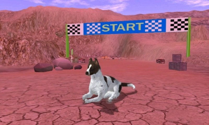 狂犬模拟器游戏安卓手机版 v1.1.0截图2